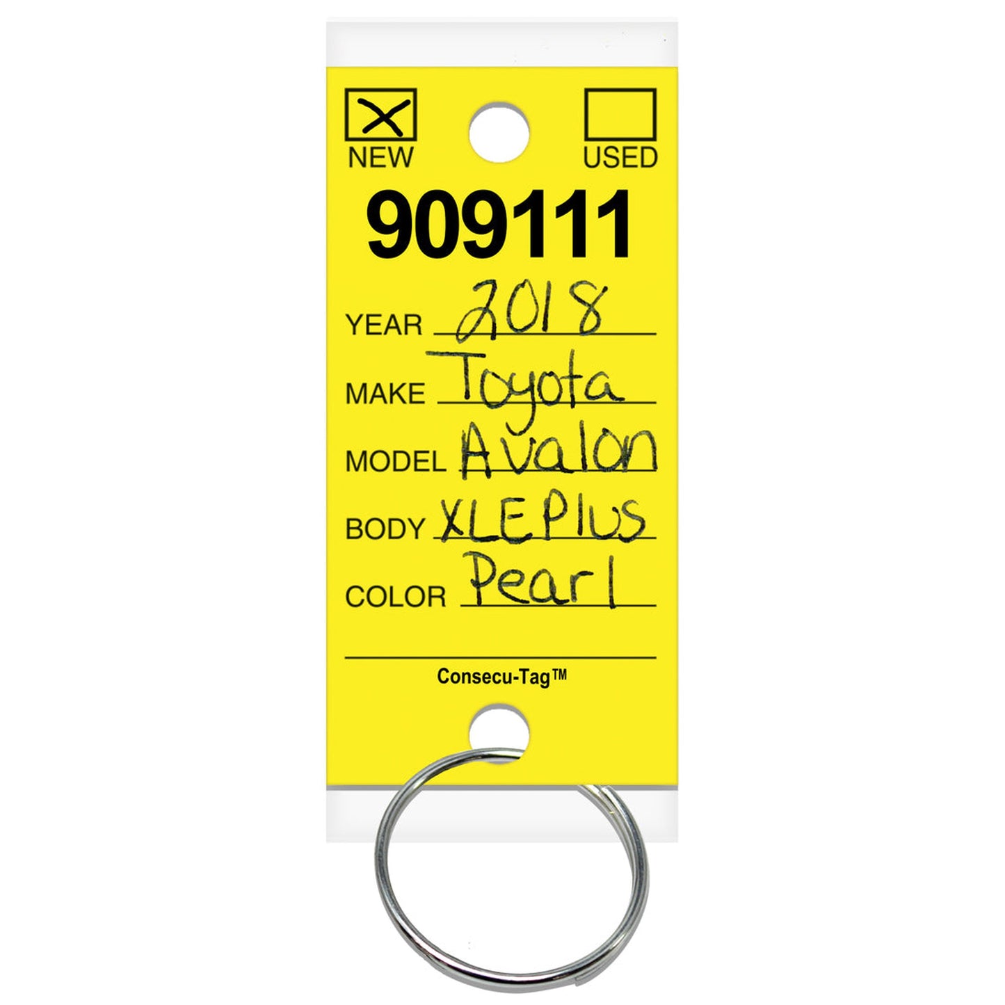 Consecu-Tags Key Tags by Versa Tags (Package of 125)